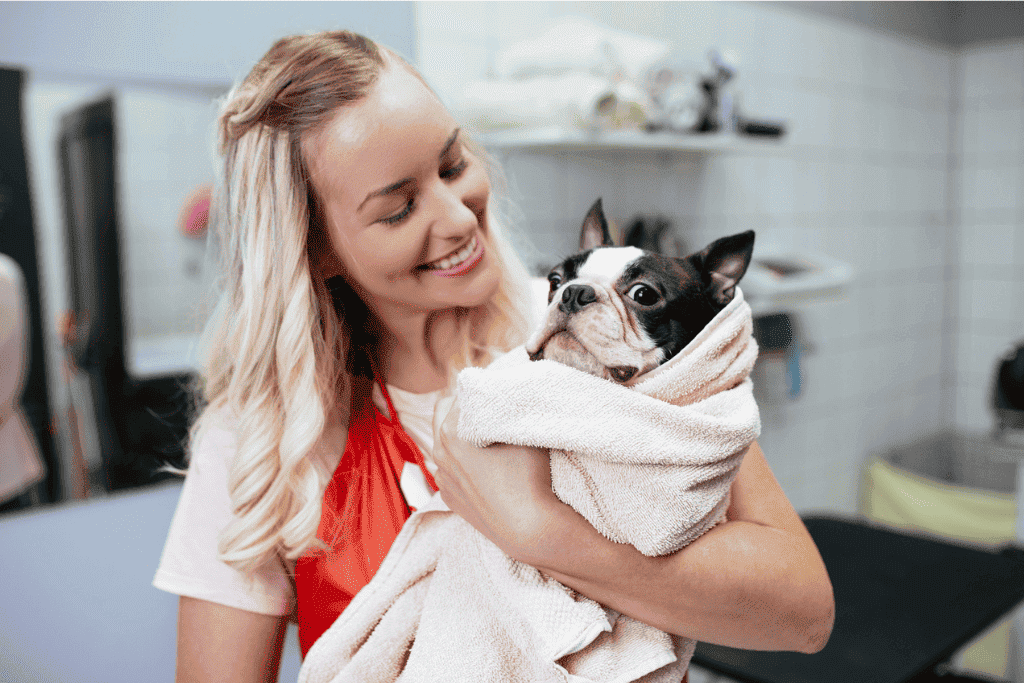 Groomer segurando um cachorro da raça buldog depois do banho e tosa. Única Pets Ribeirão Preto.