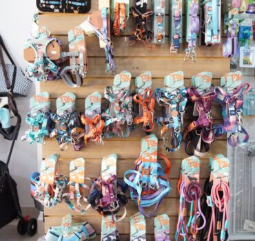 Coleiras para cachorro no interior da loja Única Pets em Ribeirão Preto