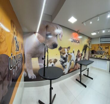 Espaço de tosa no interior da loja Única Pets em Ribeirão Preto