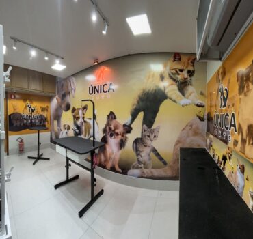 Espaço de tosa no interior da loja Única Pets em Ribeirão Preto